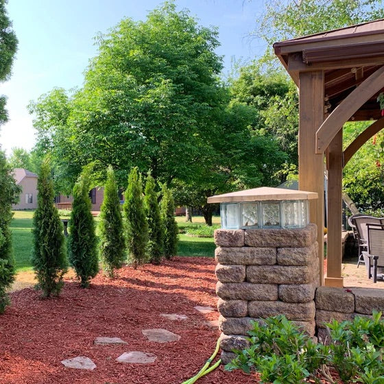 3 Foot Tree - Emerald Green Arborvitae
